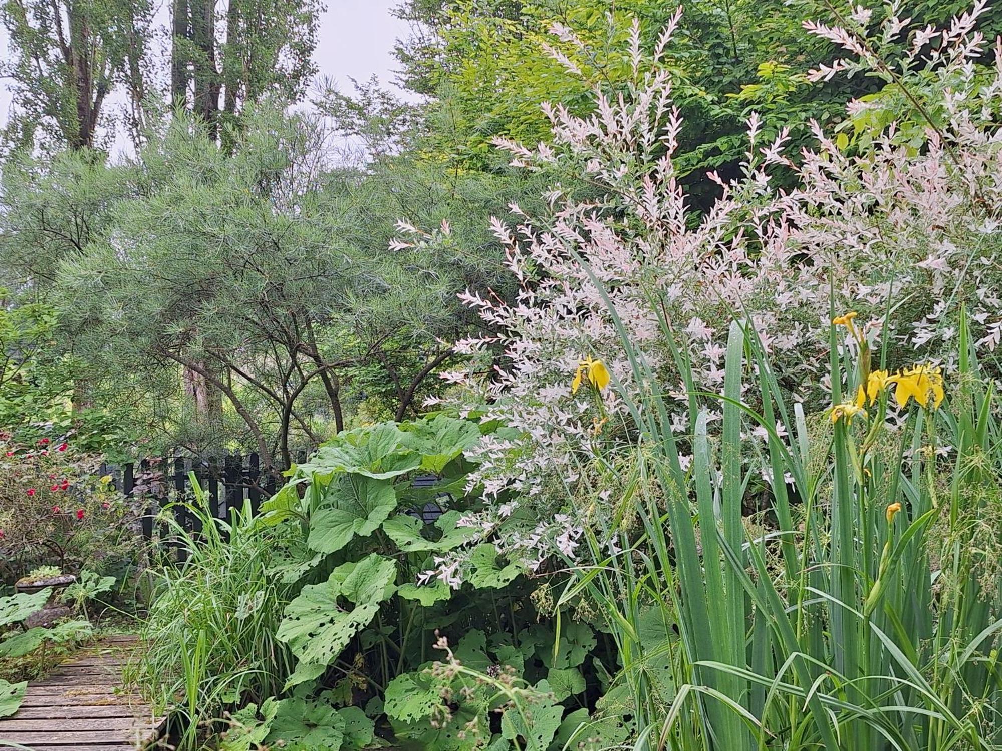 Les Insolites Watronville Esterno foto