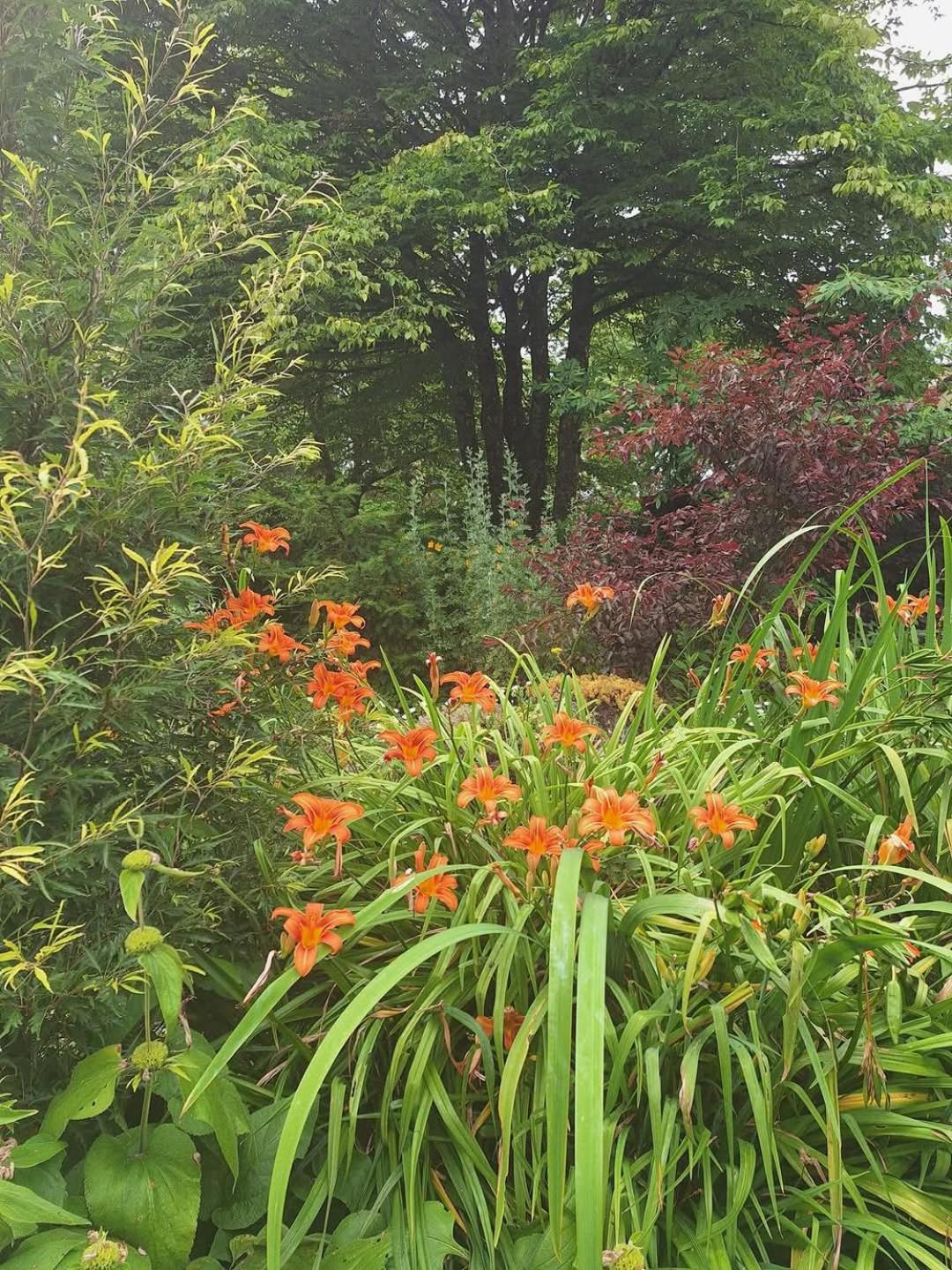 Les Insolites Watronville Esterno foto